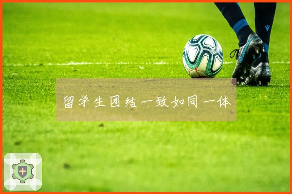 留学生团结一致如同一体