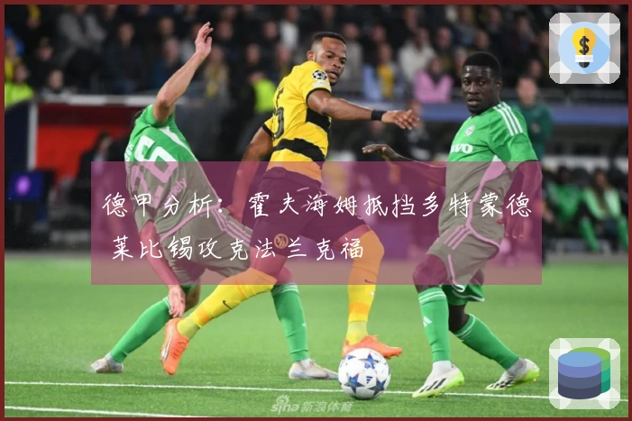 德甲分析：霍夫海姆抵挡多特蒙德 莱比锡攻克法兰克福