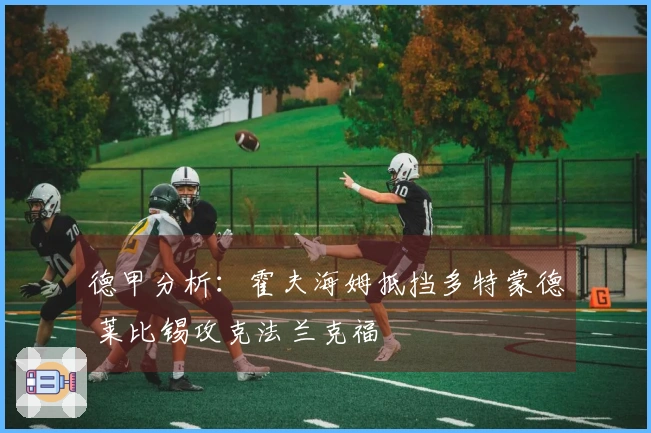 德甲分析：霍夫海姆抵挡多特蒙德 莱比锡攻克法兰克福